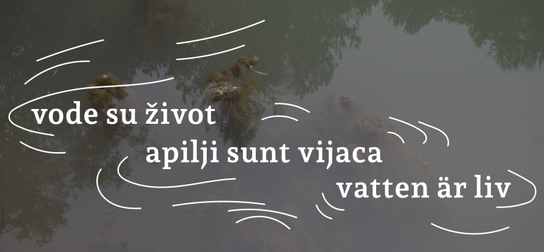 ~ vode su život ~ apilji sunt vijaca ~ vattnen är liv ~